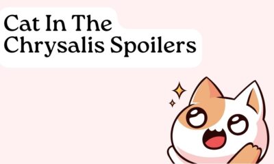 Cat In The Chrysalis Spoilers