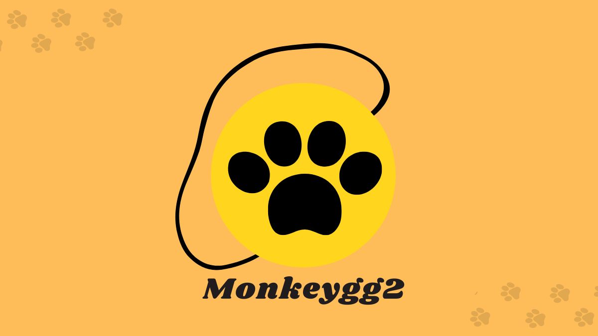 Monkeygg2