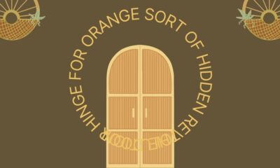 The Door Hinge For Orange Sort Of Hidden Revolution