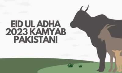 eid ul adha 2023 kamyab pakistani