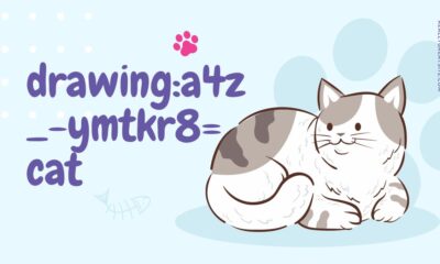 drawing:a4z_-ymtkr8= cat