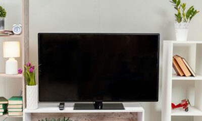 what size television can fit 2201ds